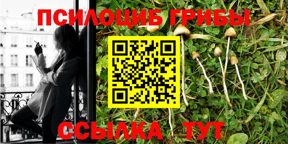 Псилоцибиновые грибы GOLDEN TEACHER Морозовск